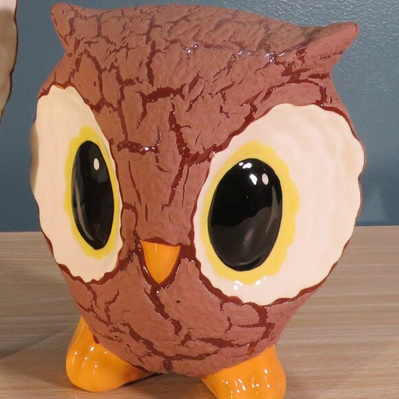 Cute Large Eyed Owls - Picture 6 of 9